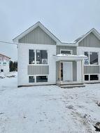 250 des Eleves ST  Dieppe, NB E1A 4V6