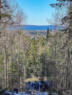 Land Chamcook Lake No. 1 RD  Chamcook, NB E5B 2Z4