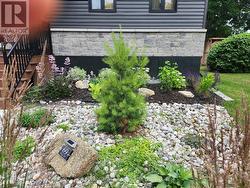 Low maintenance gardens - 