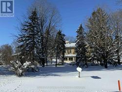 538 QUEEN STREET N  Arran-Elderslie, ON N0G 2N0