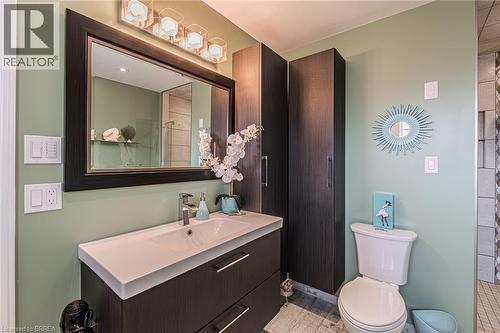 52 Amelia Street, Paris, ON - Indoor Photo Showing Bathroom