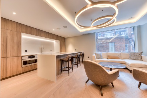 Common room - 918-1518 Rue Sherbrooke O., Montréal (Ville-Marie), QC - Indoor