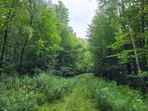 Boisé - Ch. Des Libellules, Eastman, QC 