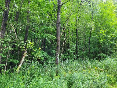 Boisé - Ch. Des Libellules, Eastman, QC 