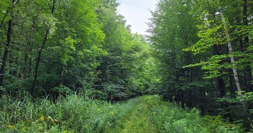 Boisé - Ch. Des Libellules, Eastman, QC 