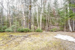 Lot - 