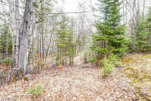 Terre/Terrain - 18 Av. Coursol, Saint-Donat, QC - Outdoor