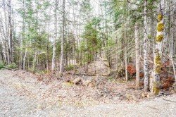 Lot - 