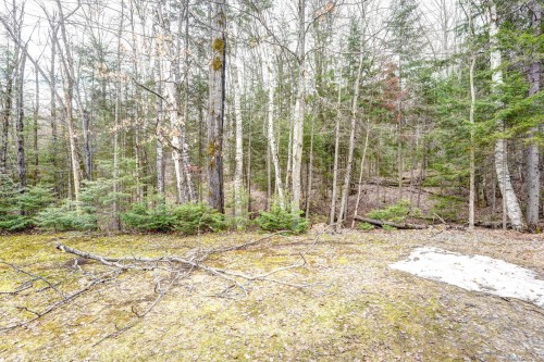 Terre/Terrain - 18 Av. Coursol, Saint-Donat, QC - Outdoor