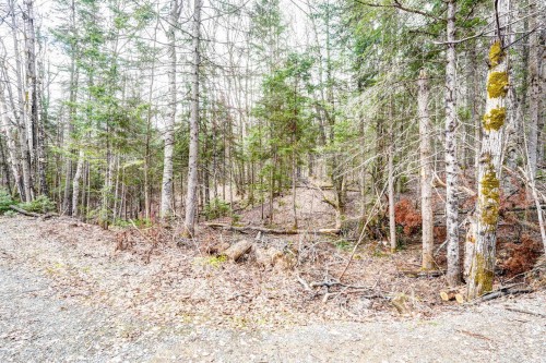 Terre/Terrain - 18 Av. Coursol, Saint-Donat, QC - Outdoor