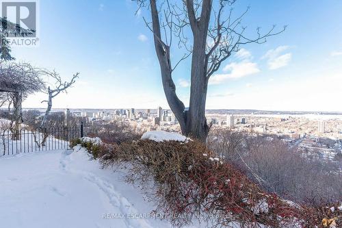 47 Mountain Park Avenue, Hamilton, ON - Outdoor With View