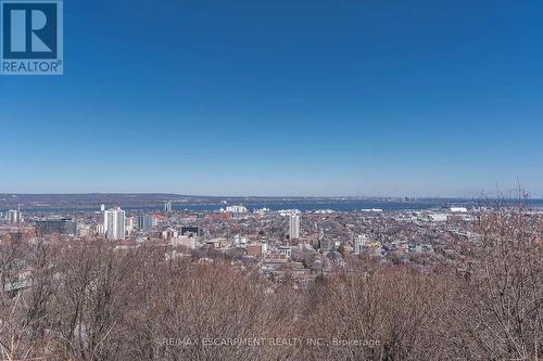 47 Mountain Park Avenue, Hamilton, ON - Outdoor With View