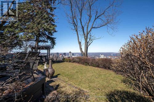 47 Mountain Park Avenue, Hamilton, ON - Outdoor With View