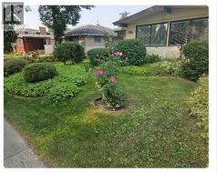 Picturesque Curb View - August 2025 - 