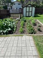 Garden - August 2025 - 