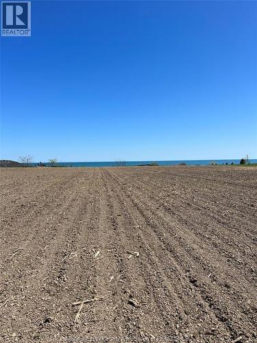 4670 Talbot Trail, Merlin, ON 