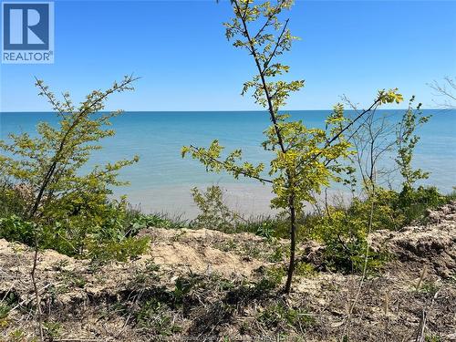 4670 Talbot Trail, Merlin, ON 