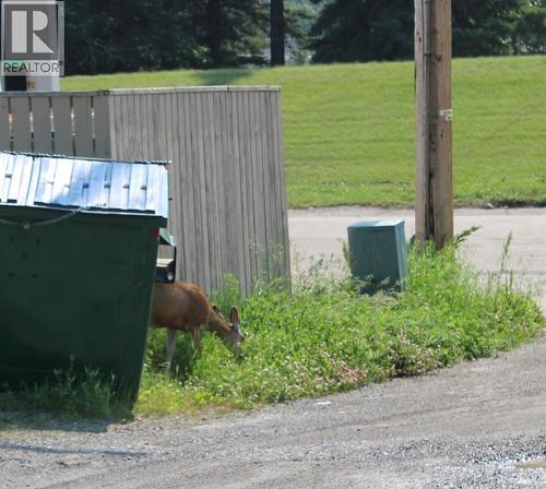 101 Main Avenue E, Sundre, AB 