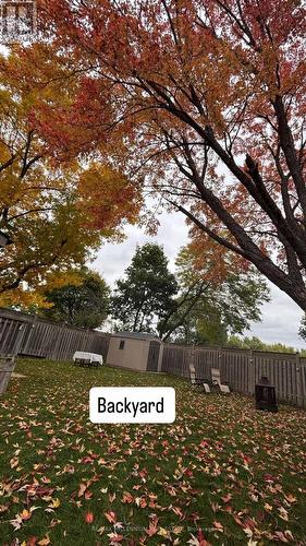 1341 Freeport Drive, Mississauga, ON - Outdoor