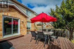 Summer 2025 Backyard - 