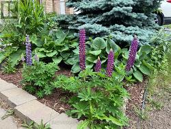 Summer 2025 Greenery - 