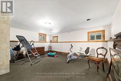 LOWER LEVEL BEDROOM - 