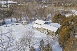 NESTLED IN THE TREES - 