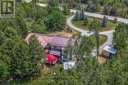 NICE SETTING IN THE TREES - 