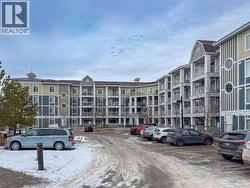 Ample visitor parking - 