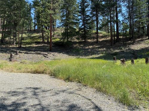 4925 Buck Crescent, Wasa, BC - Outdoor With View