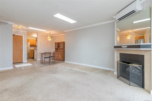 #402-435 Festubert St, Duncan, BC - Indoor With Fireplace