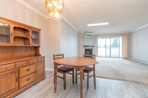 #402-435 Festubert St, Duncan, BC - Indoor Photo Showing Other Room With Fireplace