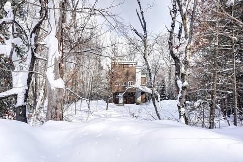 Terre/Terrain - Av. Ellis, Saint-Donat, QC 