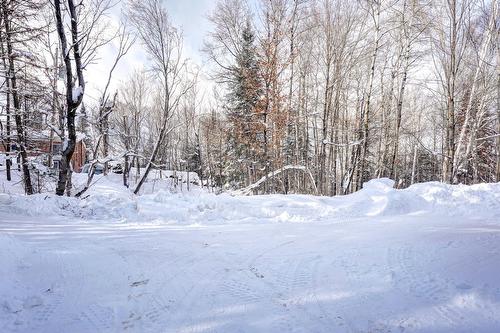 Terre/Terrain - Av. Ellis, Saint-Donat, QC 