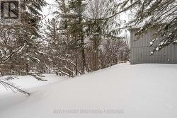 Yard with lots of trees - 