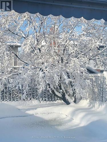 4170 Treetop Crescent, Mississauga, ON - Outdoor With View