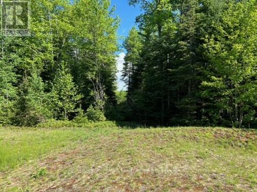 Lot 27 Bancroft Ridge Drive, Bancroft (Bancroft Ward), ON 