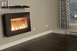 Propane Fireplace - 
