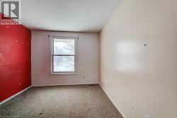 Spare room with carpet and a textured ceiling - 