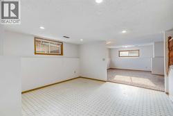 Bonus Room (Basement) - 