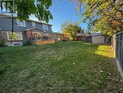 Extra large Backyard - 