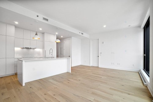 Overall view - Ph2605-2060 Rue Peel, Montréal (Ville-Marie), QC - Indoor Photo Showing Kitchen With Upgraded Kitchen