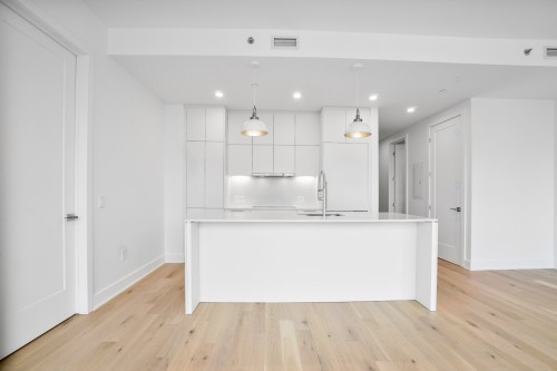 Overall view - Ph2605-2060 Rue Peel, Montréal (Ville-Marie), QC - Indoor Photo Showing Kitchen