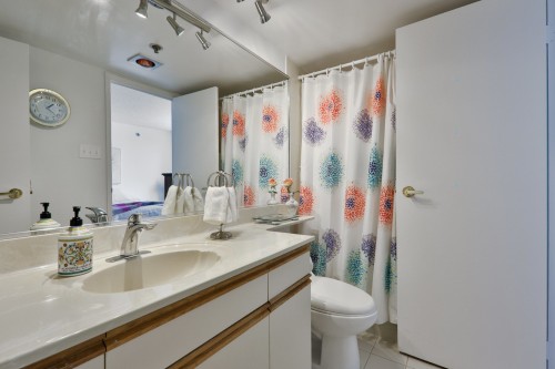 Master Bathroom - 307-520 Place Juge-Desnoyers, Laval (Pont-Viau), QC - Indoor Photo Showing Bathroom