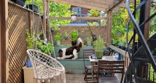 Terrasse - 4784 Rue Parthenais, Montréal (Le Plateau-Mont-Royal), QC - Outdoor With Exterior