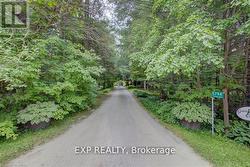 Driveway view from road - 