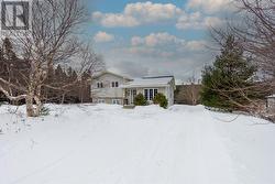 18 O'Brien's Way  Paradise, NL A1L 3P8