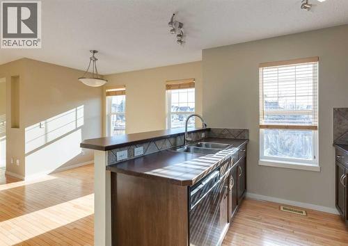 236 Silverado Drive Sw, Calgary, AB - Indoor Photo Showing Kitchen With Double Sink