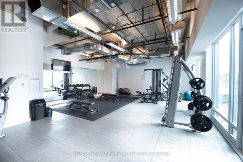 Dalton Brown Gym - 502 - 111 Champagne Avenue, Ottawa, ON - Indoor Photo Showing Gym Room