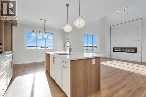 19 Everson Close, Red Deer, AB - Indoor Photo Showing Kitchen With Fireplace